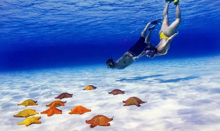 Best Cozumel Snorkel Tour Big Group Private Boat El Cielo Reefs