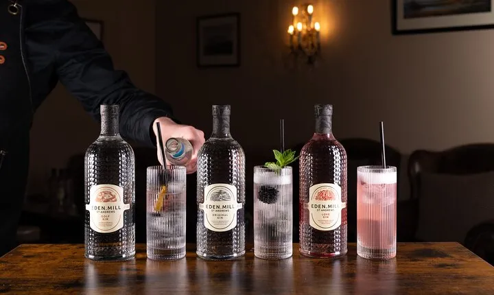 Gin Tasting Experience with a Perfect Serve