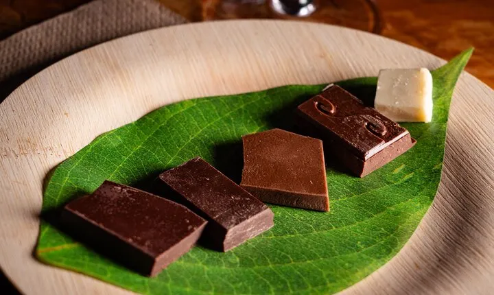 Craft Chocolate Tasting