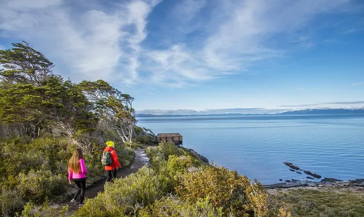 Cruises Shore Excursions: City Tour + Fort Bulnes 