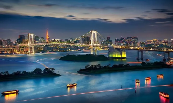 Tokyo Private Driving Tour by Car/Van with English Chauffeur