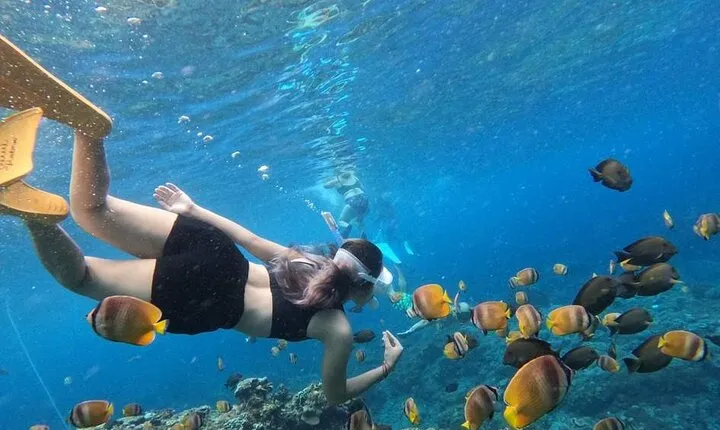 Bali Blue Lagoon Snorkeling with All - Inclusive Tour