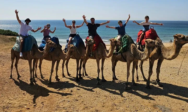 Private Tour: Day through Gibraltar and Morocco, Tangier from Seville