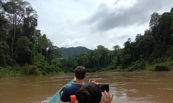 Taman Negara National Park Day Tour (SIC - Join In Tour)