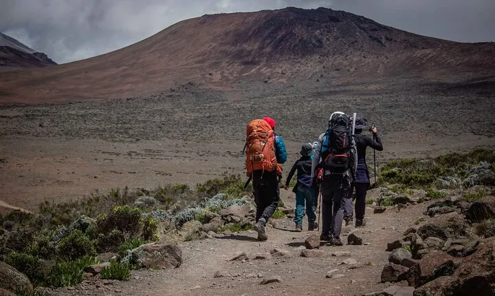 Private Multi-Day Hiking Tour in Lemosho Route, Kilimanjaro