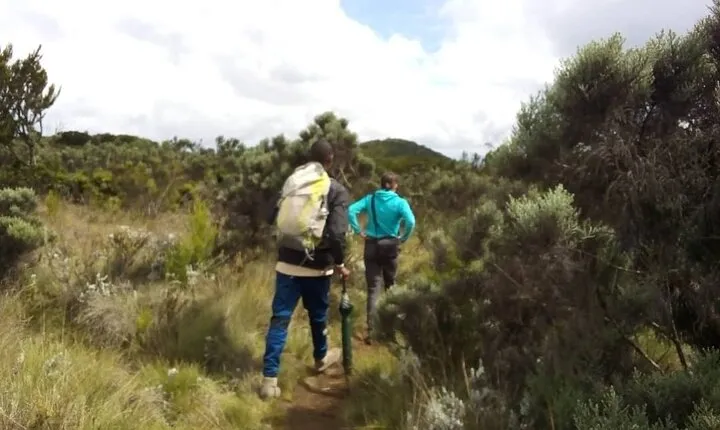 Day Hike to Mount Kilimanjaro, Chagga Culture & local Experience