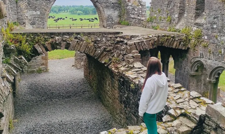 Private Tour from Dublin: Hill of Tara Trim Castle, Celtic sites