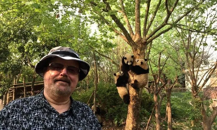 Chengdu Panda Base Half Day Tour