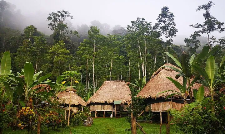 BriBri Indigenous Village Chocolate Tour, Cahuita and Waterfalls