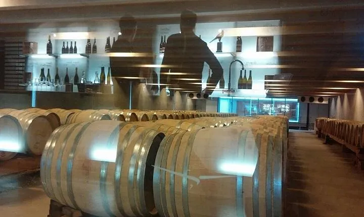 Queenstown and Central Otago Wine Tour (Private Tour)