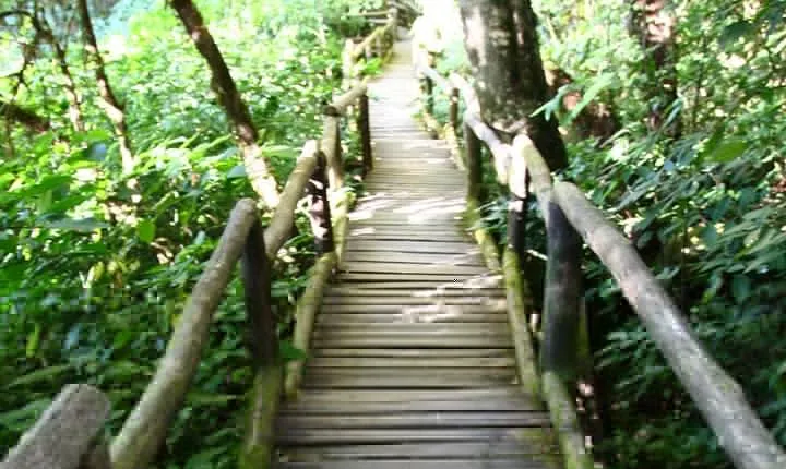 Doi Inthanon National Park including Lunch from Chiang Mai