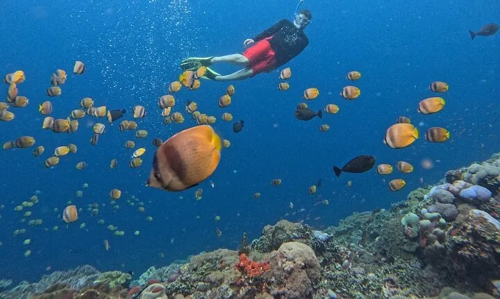 Bali: Nusa Lembongan Snorkeling-Island Tour Daytrip-All Inclusive