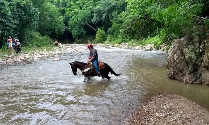 Experience Horse Riding, ATV & Zipline from Puerto Vallarta