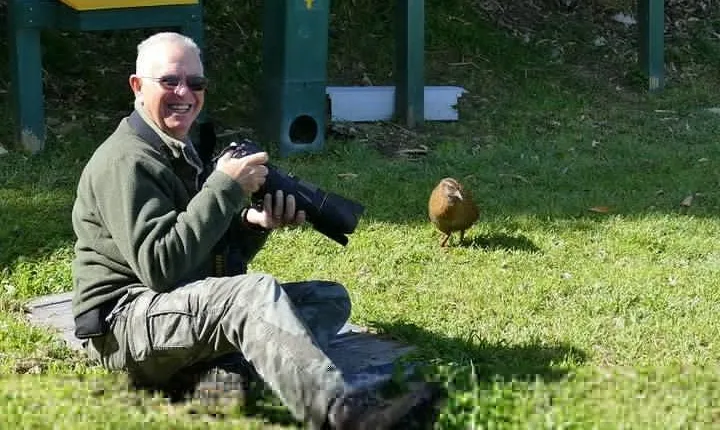 Bird Watching and Dolphin Eco-Tour from Picton