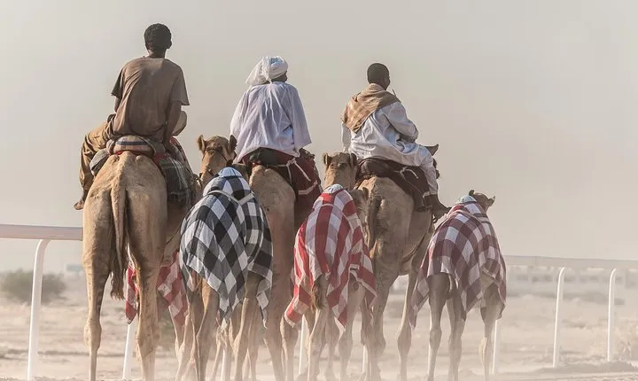 Doha: Relax & Refresh Under the Desert Stars + a FREE camel ride