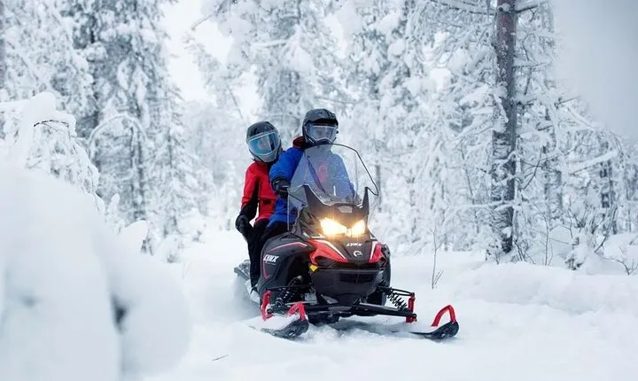 Snowmobile Tour with Small Group in Remote Wilderness 3 Hours