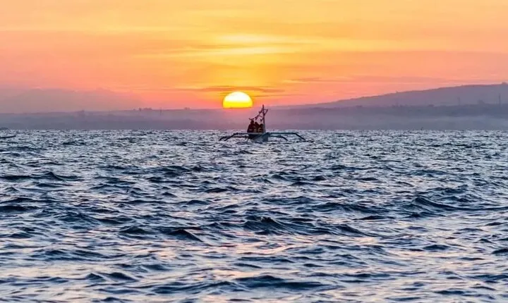 Bali Dolphin Watching and Waterfall