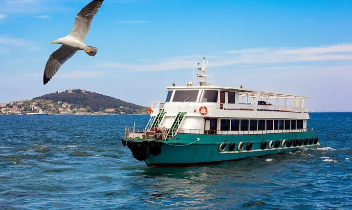 Istanbul Bosphorus Sightseeing Cruise with Audio Guide