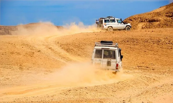 Safari Jeep to Watch Stars With Dinner & Camel Ride - Hurghada