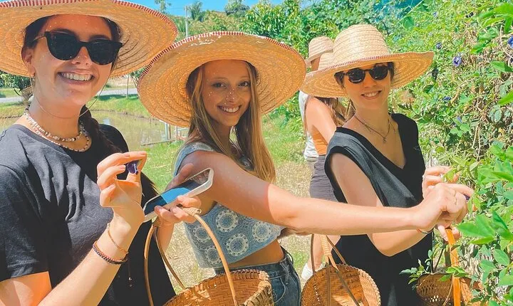 Cooking with Fresh Ingredients at Organic Farm with Local Market - Chiang Mai