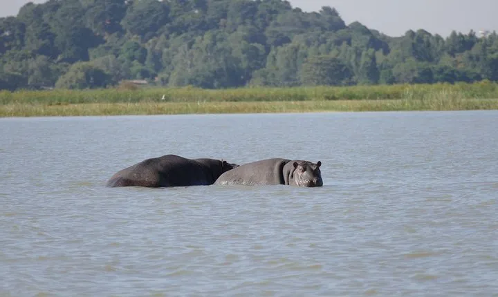 Private Guided Tours To Bahir Dar Lake Tana Monastery & Blue Nile Waterfalls