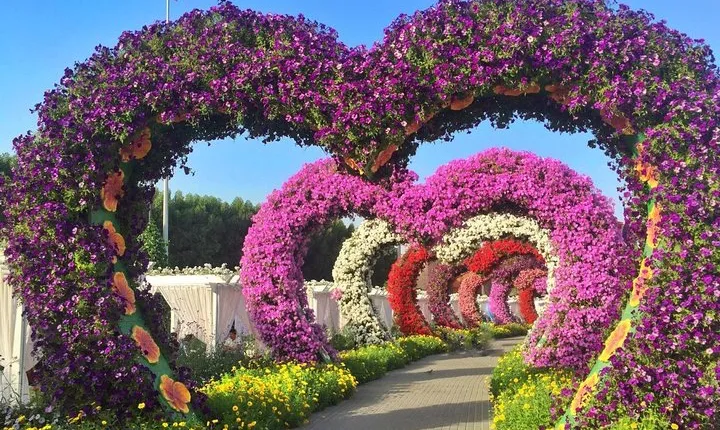 Private Guided Tour In and Around Dubai