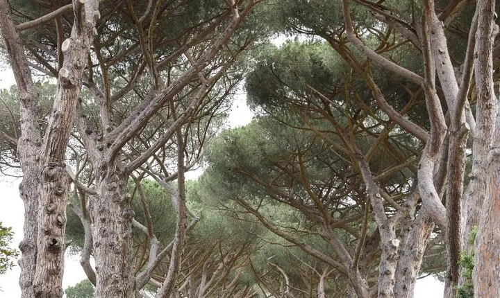 Castel Gandolfo - with private drop on and drop off