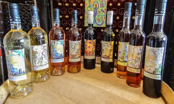 Tour in French Riviera's Capital Wine from Cannes to Nice