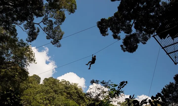 Guided FH1 Zipline Adventure at Hanuman World