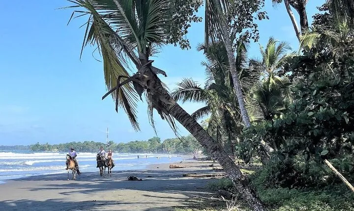 Horseback Riding & Cahuita National Park–Private Sightseeing Tour