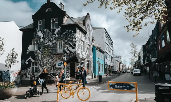 Private Reykjavik Street Art Walking Tour - The Instagram Tour