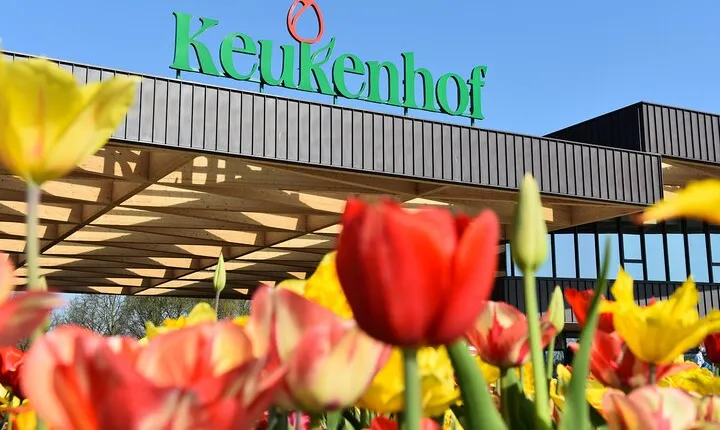 Keukenhof, Flower Fields, Volendam and Zaanse Schans Small-Group Tour