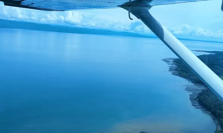 30-minute Corcovado National Park Tour by Plane