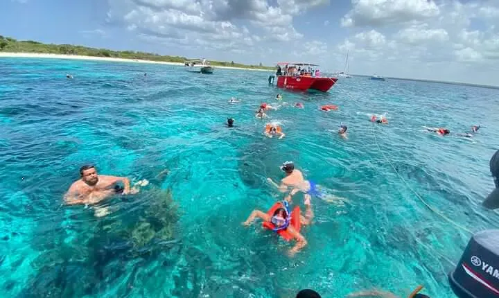 Catalina Island and Snorkeling - Full-day Trip