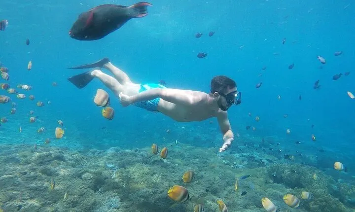 Bali Nusa Penida and Private Snorkeling (Manta Bay, Gamat, Wall)