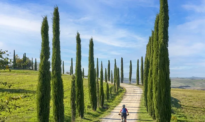 Asciano and Crete Senesi PRIVATE E-Bike Tour + Pick Up & Drop Off