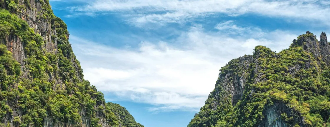 Full-Day Phi Phi and Bamboo Island by Speed Catamaran from Phuket