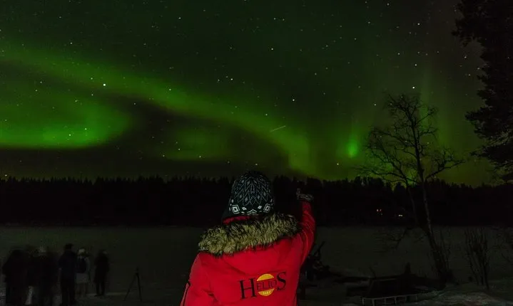 Private Northern Lights 4-hour Hunting