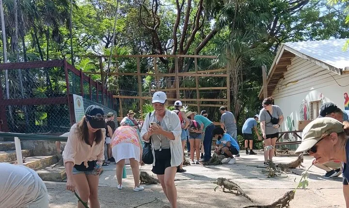 Island Tour Food Tasting iguana farm and Beach Break