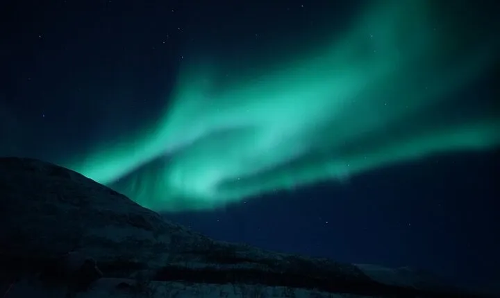 Tromsø: Evening Cruise with Northern Lights Opportunity