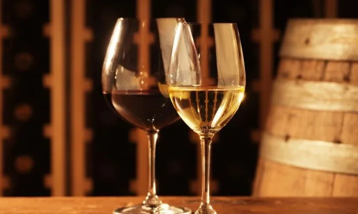 Food and Wine Tasting in Vino Veritas