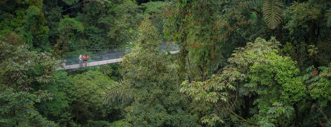 Arenal Hanging Bridges & La Fortuna Waterfall