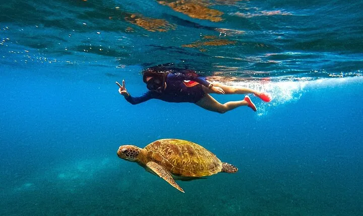 Koh Nang Yuan and Koh Tao 5 Point Snorkeling Tour