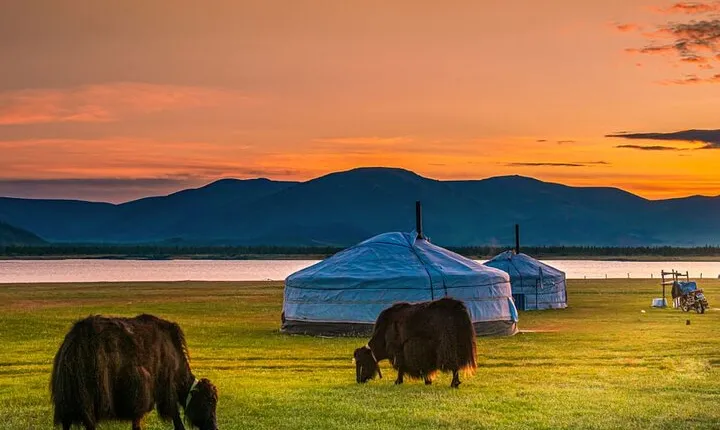 Best of Mongolia 5 days ( complimentary airport services )