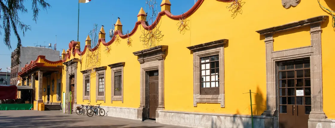Xochimilco and Coyoacán guided tour