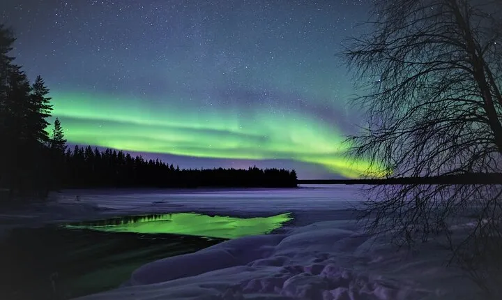 Aurora Hunt and Photography Tour from Rovaniemi
