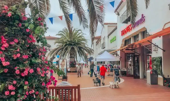 Private Shopping Tour from San Diego to Outlets at San Clemente