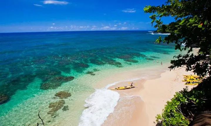 Hanalei River Paddle and Bay Snorkel Tours (LUNCH INCLUDED)
