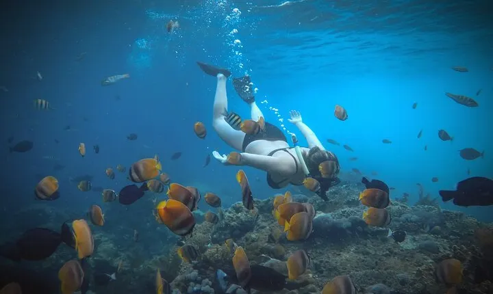 2 Days and 1 Night Private Tour with Snorkeling in Nusa Penida
