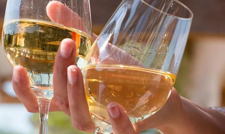 Discovery and Tasting of Biodynamic Wine in Alsace
